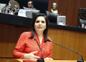 Promueve la senadora Mayuli Martínez la creación del registro Nacional de obligaciones alimentarias