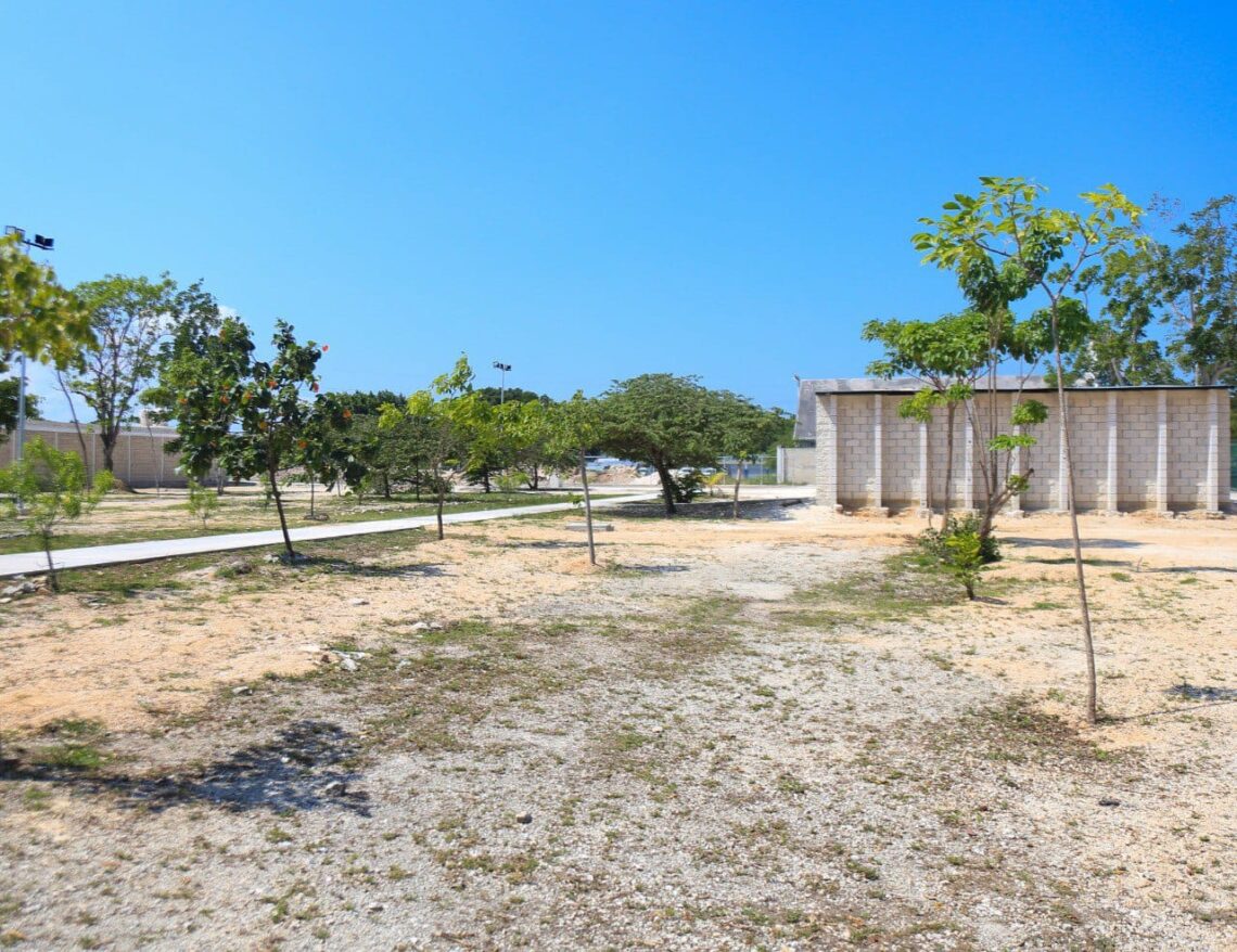 Renovación y atención histórica a refugio de animales en Solidaridad