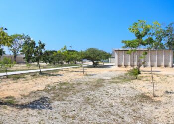 Renovación y atención histórica a refugio de animales en Solidaridad