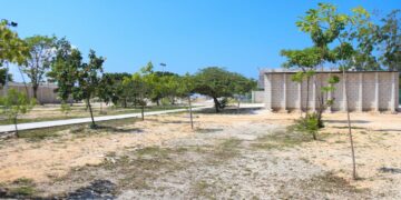 Renovación y atención histórica a refugio de animales en Solidaridad