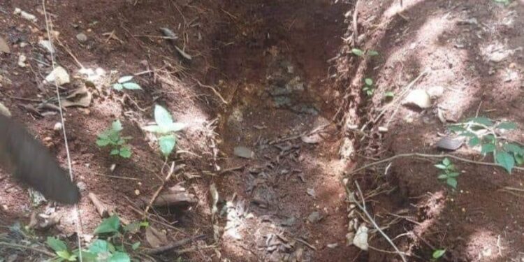 Hallan restos óseos en búsqueda de personas desaparecidas en Quintana Roo