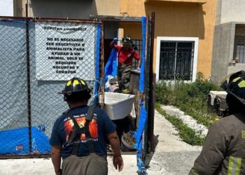 Rescatan a 5 perros con vida y hayan 23 muertos en casa de Cancún presuntamente usada como refugio de animales