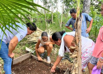 Gobierno municipal invita a producir sus propios alimentos, con huertos orgánicos