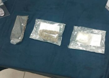 La unidad canina facilita detención de narcomenudista