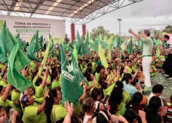 PVEM con “derecho” a nominar candidato en BJ (Cancún)