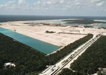Se buscará decretar como área natural protegida zona selvática concesionada a Calica: AMLO