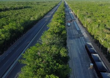 Construcción de puentes en humedales para el Tren Maya en Chetumal es vigilada por el Comité Técnico Ciudadano