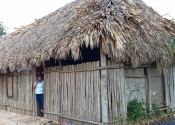 Apoyan a mujeres sin vivienda en Lázaro Cárdenas