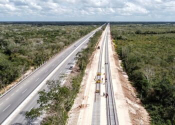 La Semarnat rechaza datos de organismo sobre la cobertura forestal del Tren Maya
