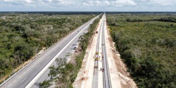 La Semarnat rechaza datos de organismo sobre la cobertura forestal del Tren Maya
