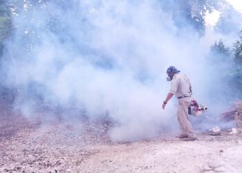 Lázaro Cárdenas busca contrarrestar casos de dengue