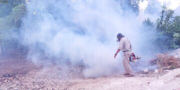 Lázaro Cárdenas busca contrarrestar casos de dengue