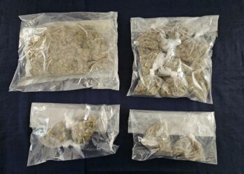 En una semana aseguran en Quintana Roo 3,792 dosis de drogas