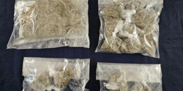 En una semana aseguran en Quintana Roo 3,792 dosis de drogas