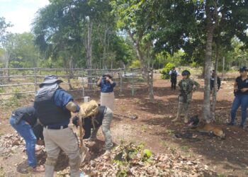 Reportan 60 personas halladas con vida de casi 400 desaparecidas en Quintana Roo
