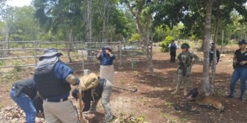 Reportan 60 personas halladas con vida de casi 400 desaparecidas en Quintana Roo