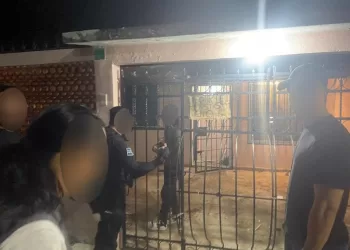 Rescatan en Cancún a una canina y 4 cachorros por posible maltrato animal