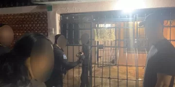 Rescatan en Cancún a una canina y 4 cachorros por posible maltrato animal