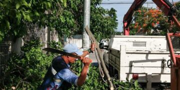Realizan poda de árboles por temporada de lluvias