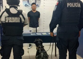Unidad Canina logra varios aseguramientos de drogas