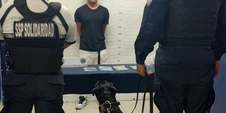 Unidad Canina logra varios aseguramientos de drogas