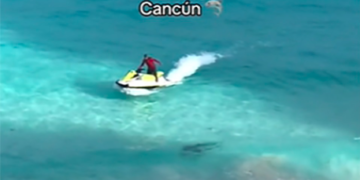Avistan impresionante tiburón toro en las aguas de Cancún