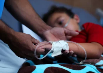 Se triplican casos de dengue con respecto al año pasado; mutación del mosco del dengue por cambio climático lo hace más resistente