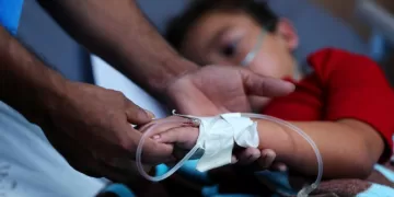 Se triplican casos de dengue con respecto al año pasado; mutación del mosco del dengue por cambio climático lo hace más resistente
