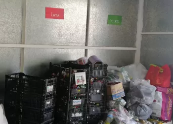 En Quintana Ro no hay cultura de reciclaje, solo el 11% de los desechos sólidos son reciclados