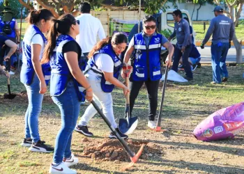 Son restauradas áreas verdes en Villas del Sol