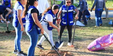 Son restauradas áreas verdes en Villas del Sol