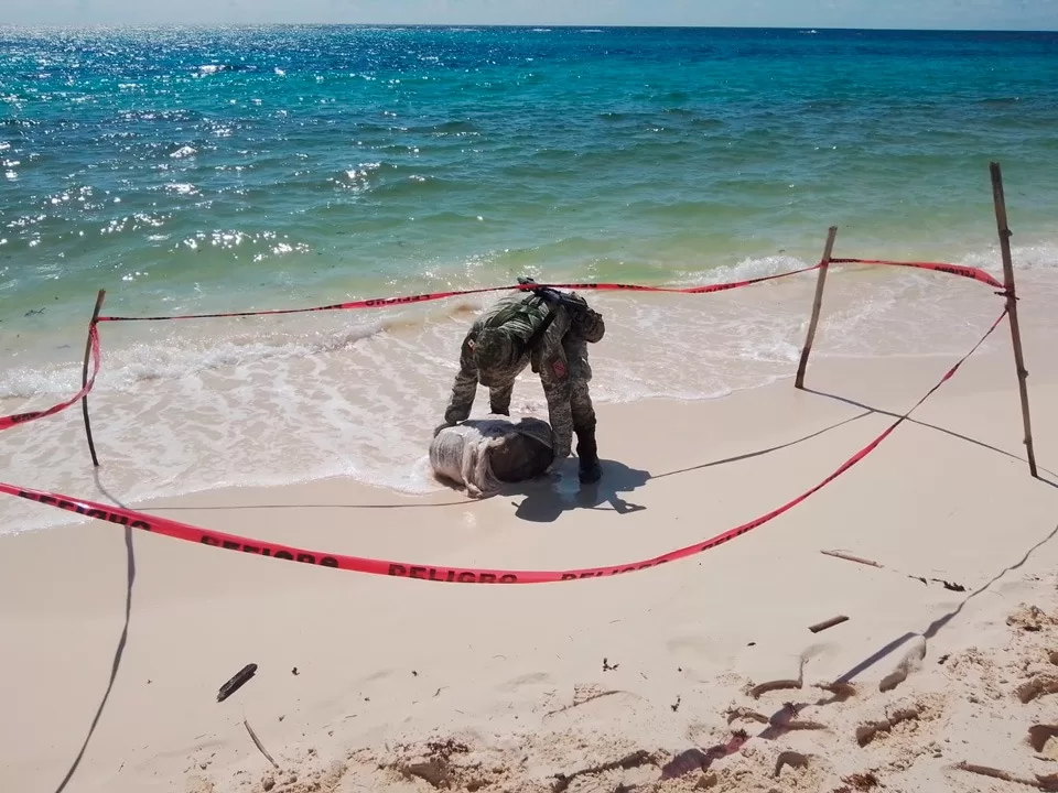 Aseguran en Cozumel cocaína valuada en 6.2 millones de pesos