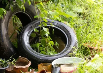 Colonias más antiguas y zonas irregulares con mayor incidencia de dengue