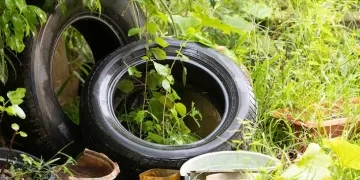 Colonias más antiguas y zonas irregulares con mayor incidencia de dengue