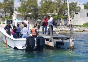 Extraen caracol rosado ilegalmente de Puerto Juárez