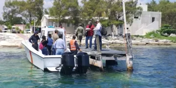 Extraen caracol rosado ilegalmente de Puerto Juárez