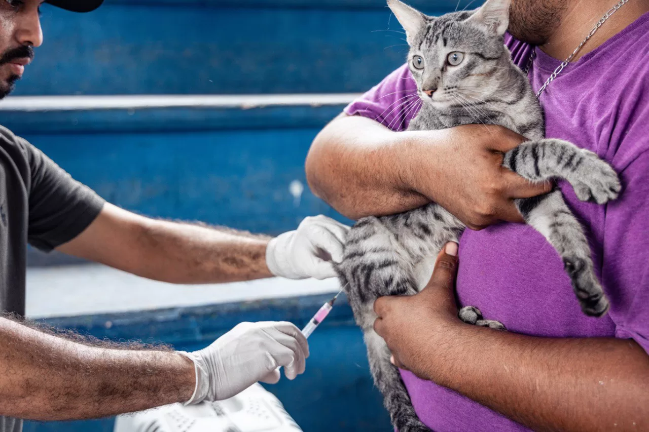 Sigue con éxito campaña de vacunación antirrábica en Solidaridad