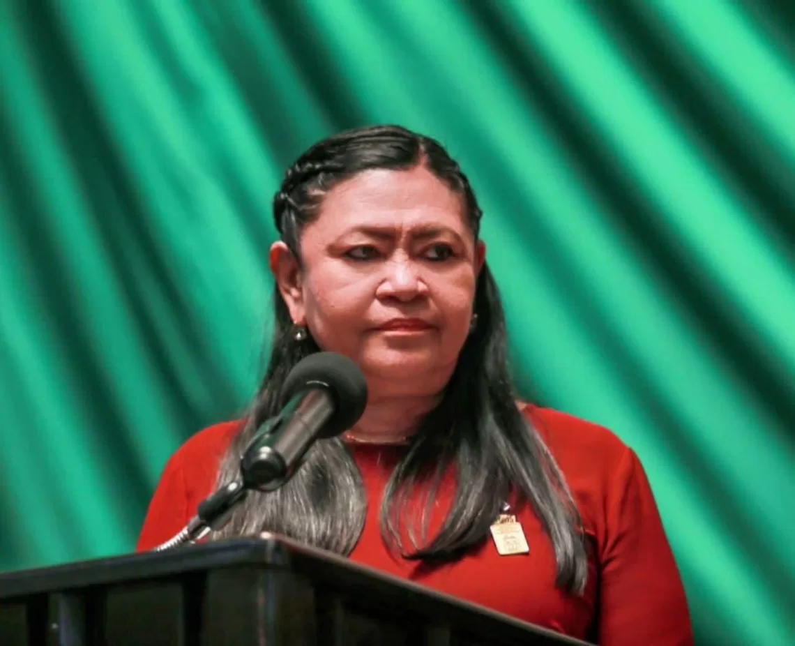 Combatir la violencia obstétrica es una acción en favor de los derechos humanos, afirma Mildred Ávila