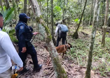 La Unidad Canina realiza más de 7,800 inspecciones en la entidad