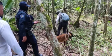 La Unidad Canina realiza más de 7,800 inspecciones en la entidad