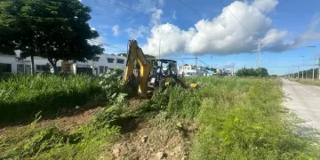 Intensifican los trabajos de limpieza del Parque de la Equidad en Cancún