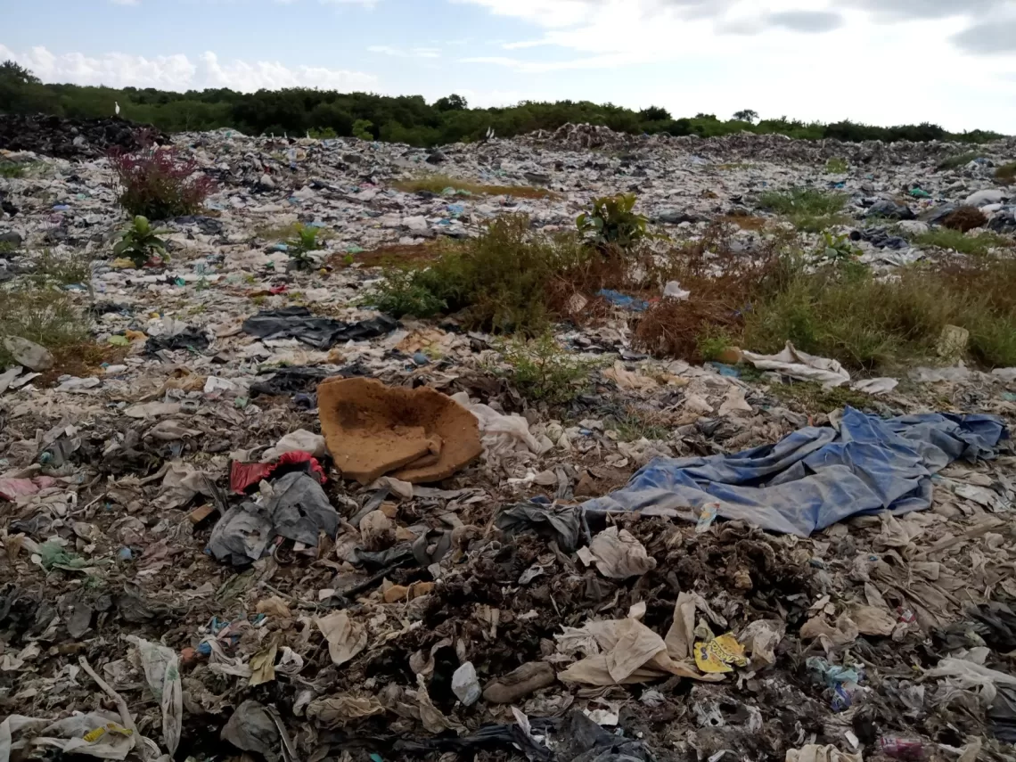 Procurador de Protección al Ambiente supervisa relleno sanitario en Othón P. Blanco