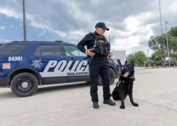 Mojara la Seguridad en Quintana Roo
