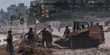 Destacan que en Benito Juárez se da correcta disposición final del sargazo