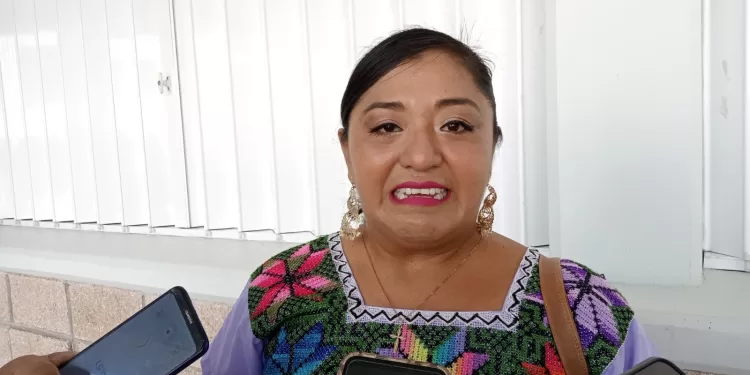 Más de 200 solicitudes para el Censo de Pueblos y Comunidades Indígenas de Quintana Roo