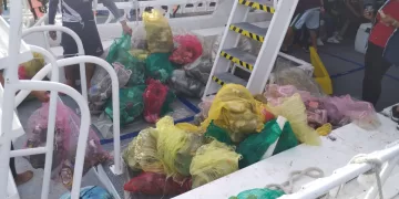 Plásticos contaminan las profundidades del canal nizuc