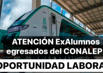 Lanza CONALEP Quintana Roo convocatoria a sus egresados para que se contraten con Tren Maya