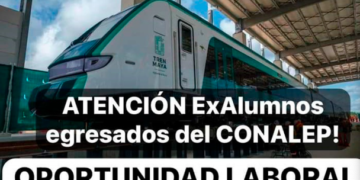 Lanza CONALEP Quintana Roo convocatoria a sus egresados para que se contraten con Tren Maya