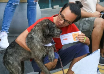 “Pasitos con Causa” impulsa la convivencia Pet Friendly y la solidaridad canina
