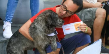 “Pasitos con Causa” impulsa la convivencia Pet Friendly y la solidaridad canina